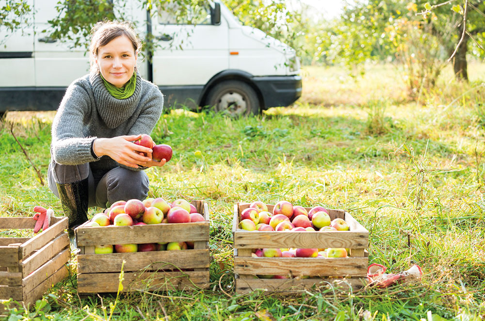 Appels vrouw