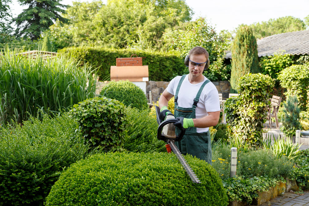 Tuinman snoeit haag