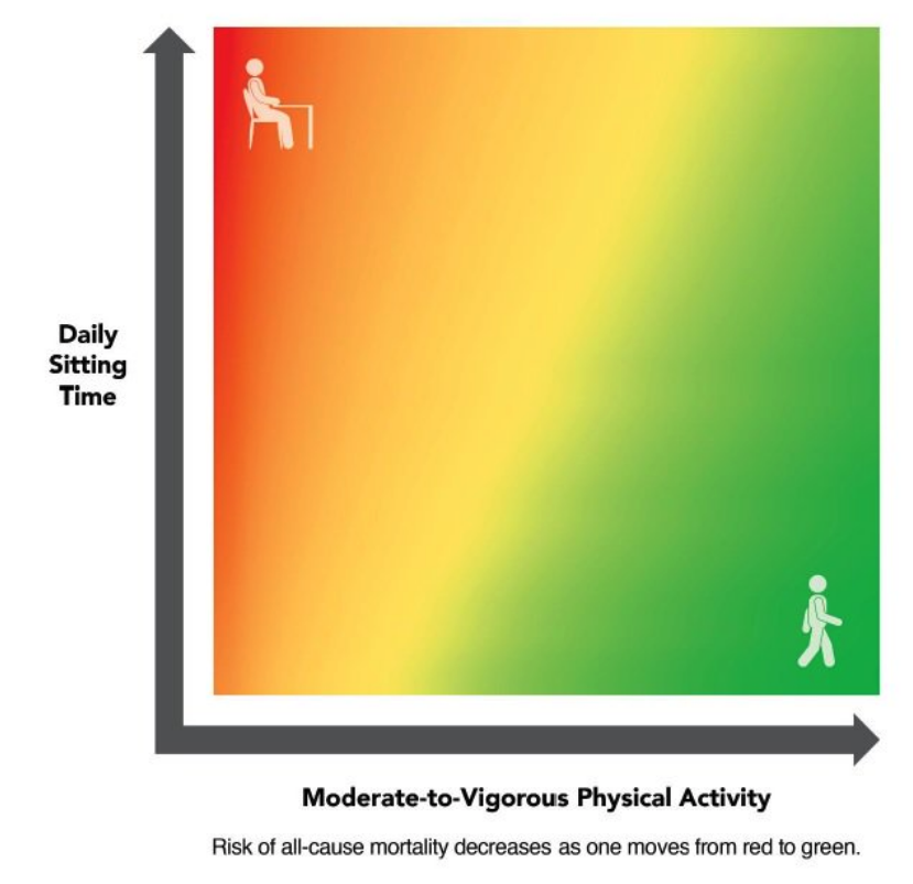 Op basis van onderzoek van professor Ulf Ekelund werd een warmtekaart ontwikkeld die visueel de link legt tussen bewegen en inactiviteit.