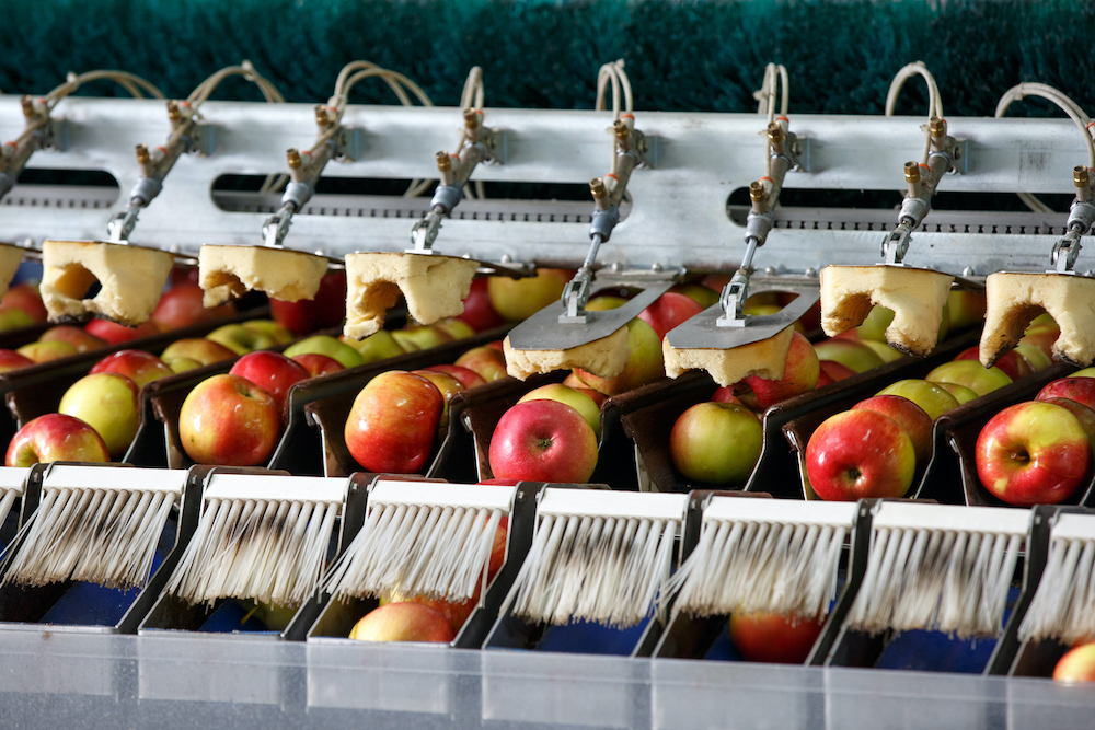 appels